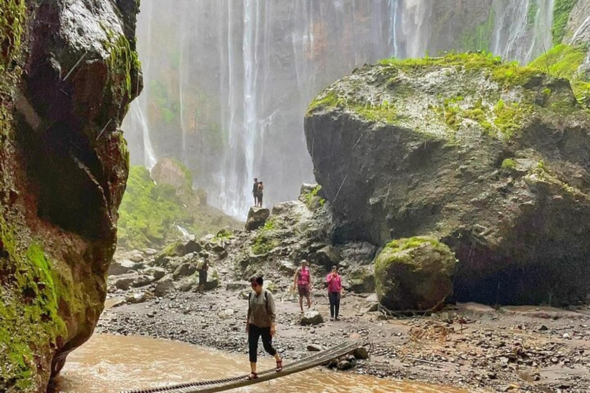 Fotografia 3 a atracției