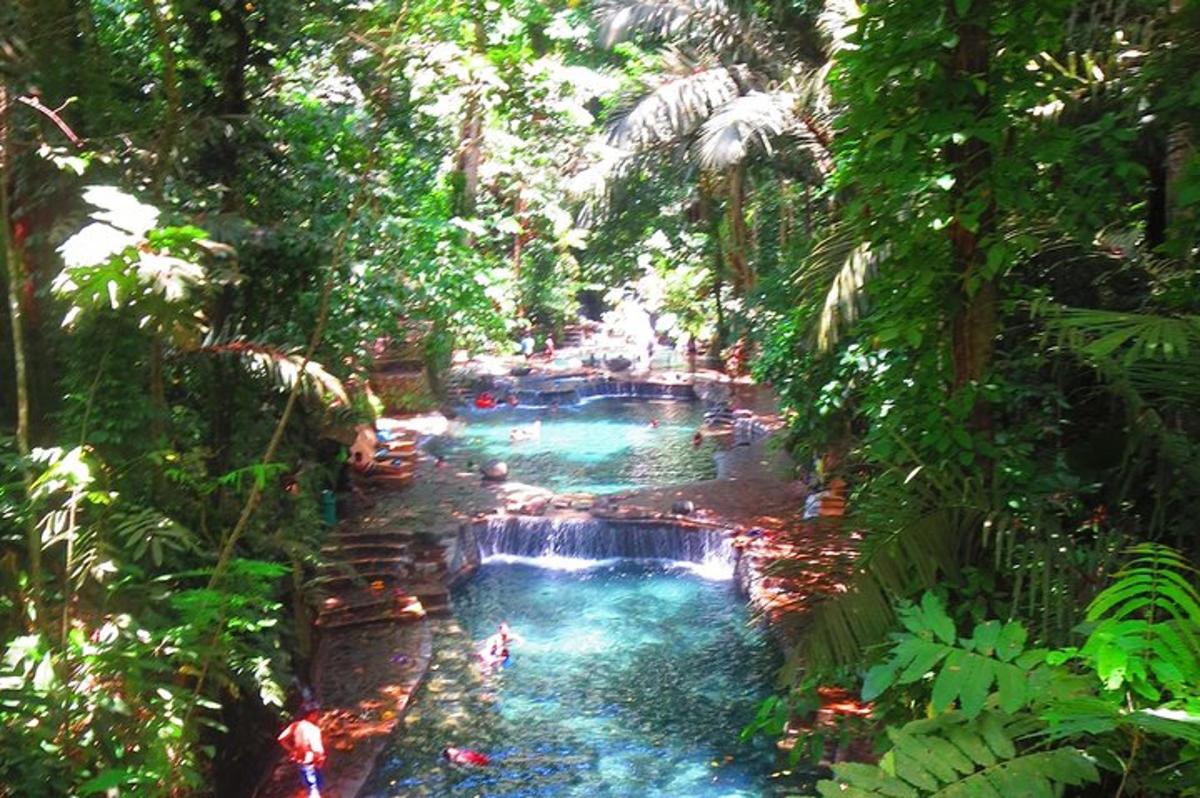 une piscine avec une cascade dans une jungle