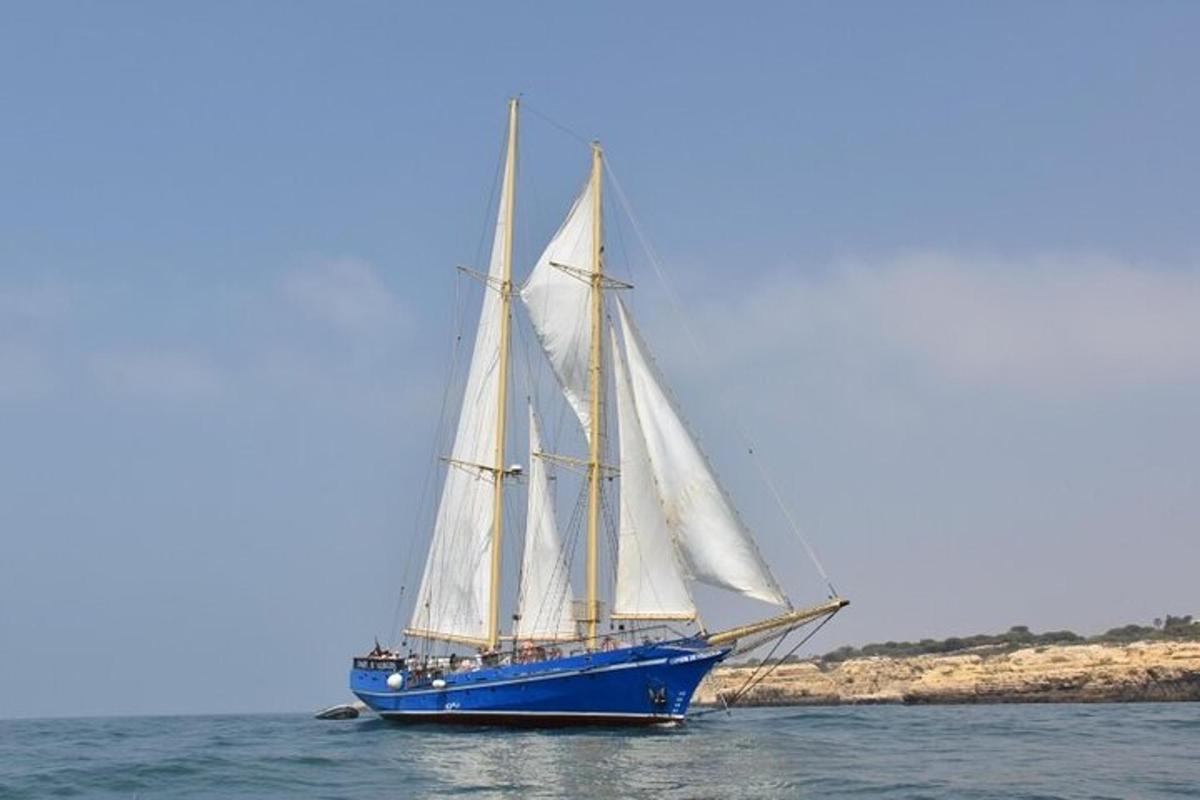 Un velero azul y blanco en el agua
