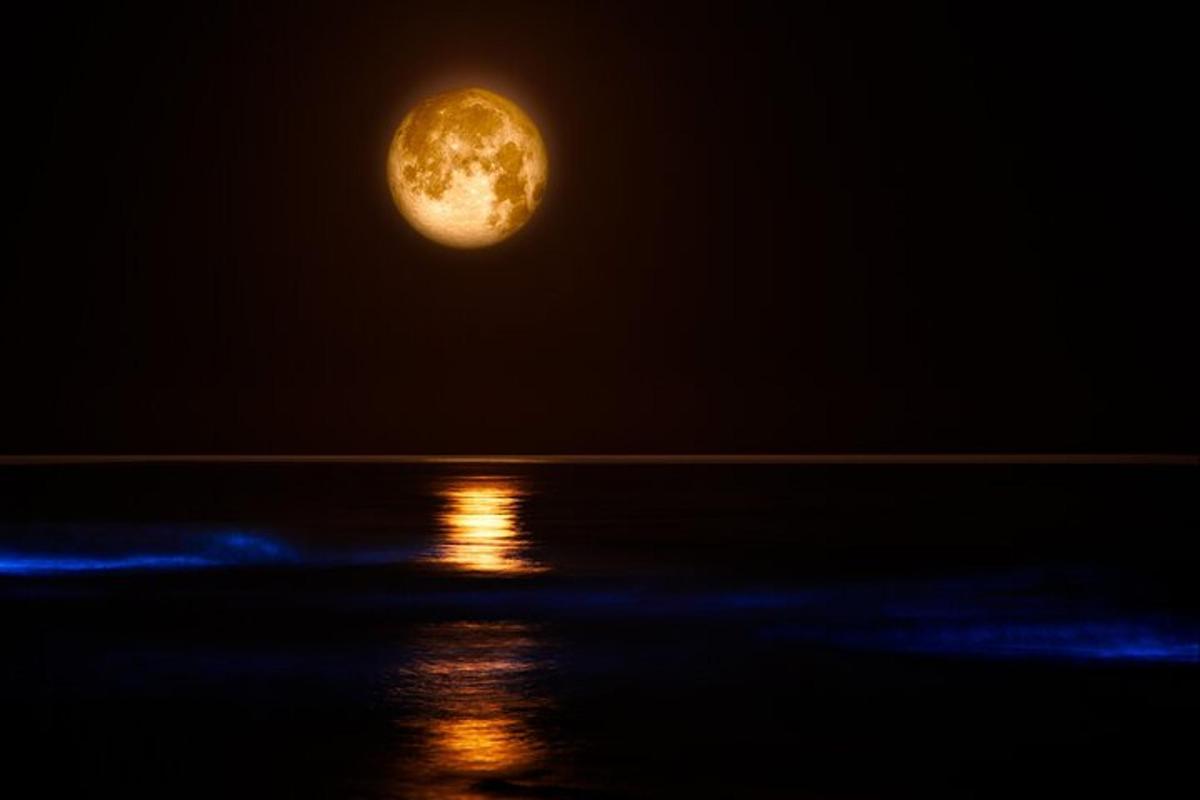 una luna llena en el cielo sobre el agua