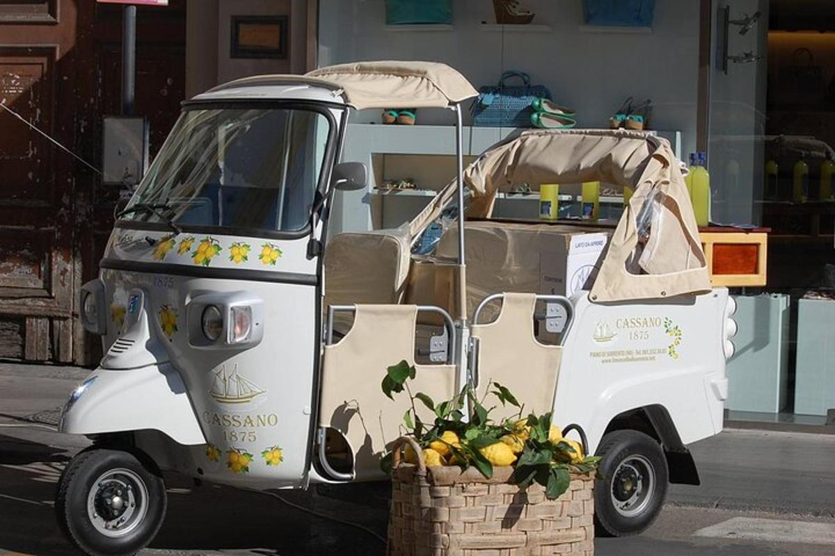 Un pequeño carrito de golf con una cesta de fruta.