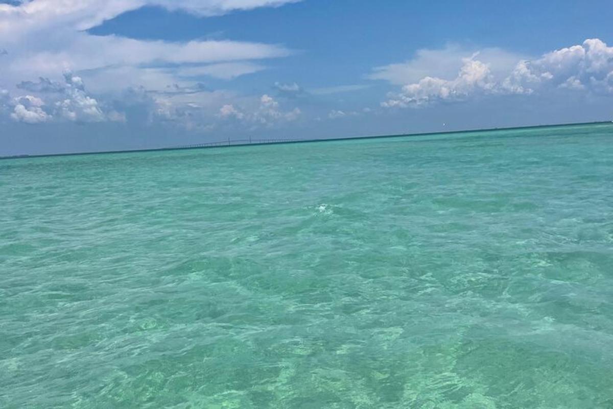 一大片水域与海洋