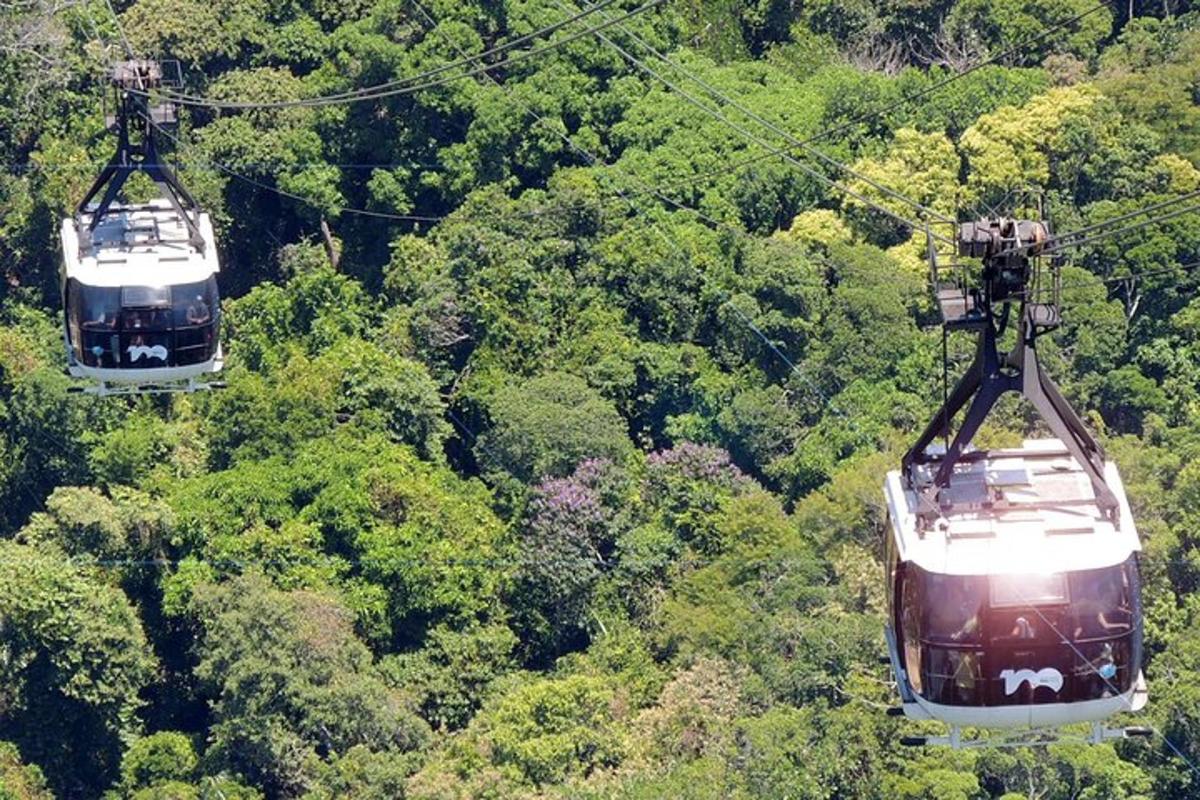 Dos teleféricos volando sobre un exuberante bosque verde