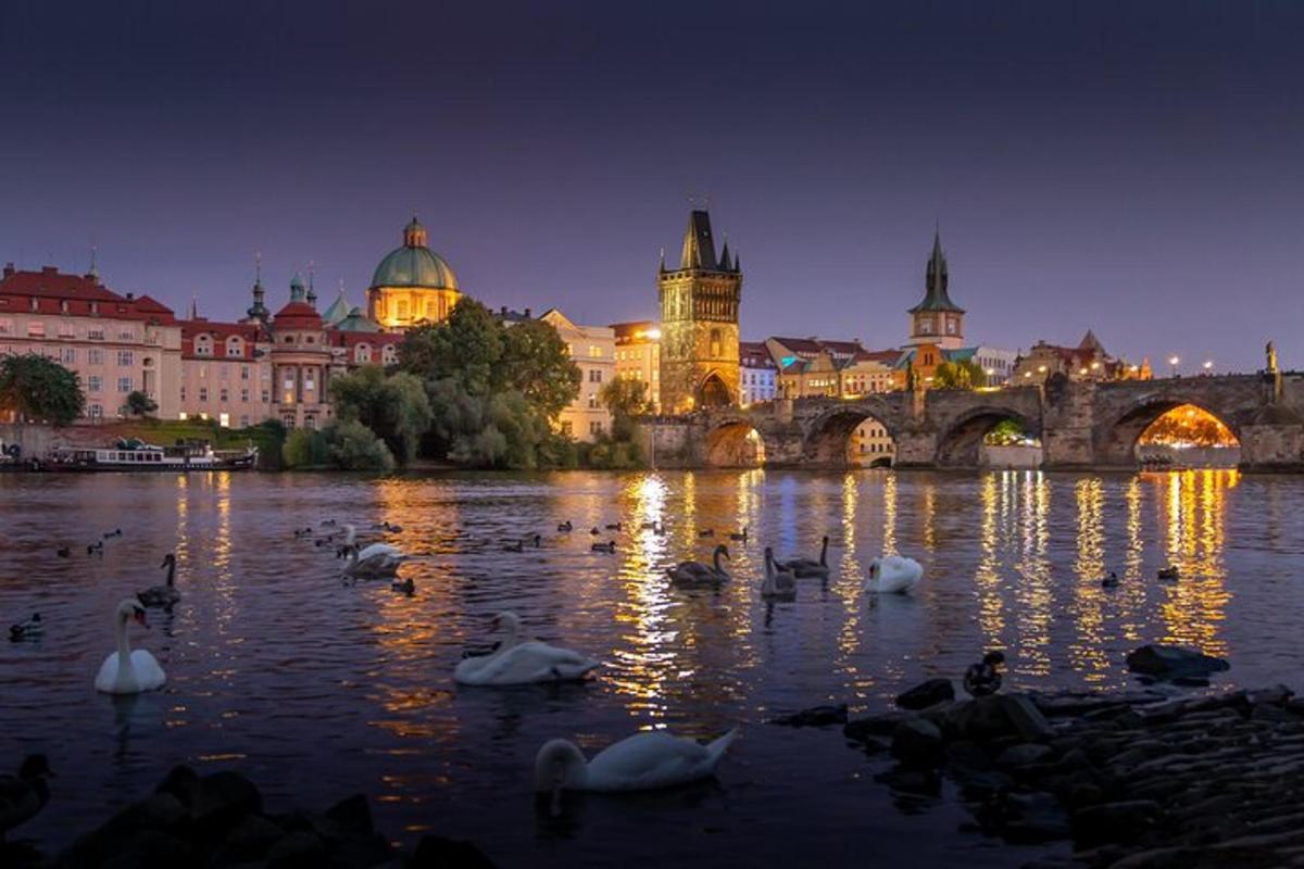 um grupo de cisnes na água em frente a uma ponte