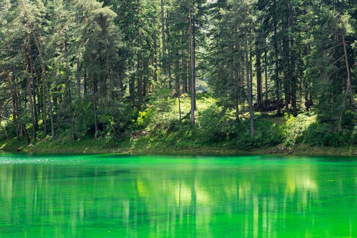 roheline veekogu, mille taustal on puud