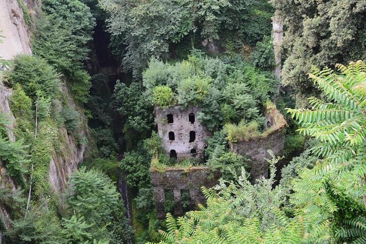Photo de l’attraction numéro 5.