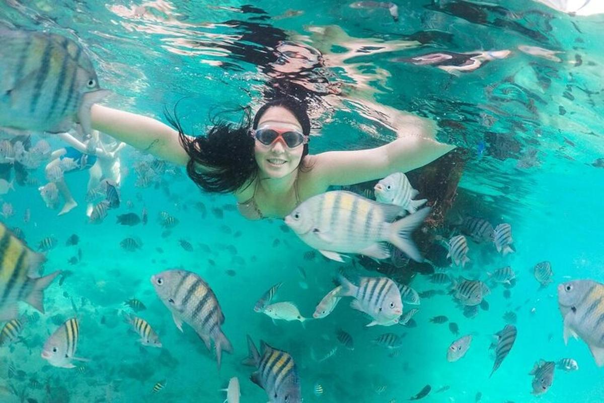 una donna che nuota nell'acqua con i pesci