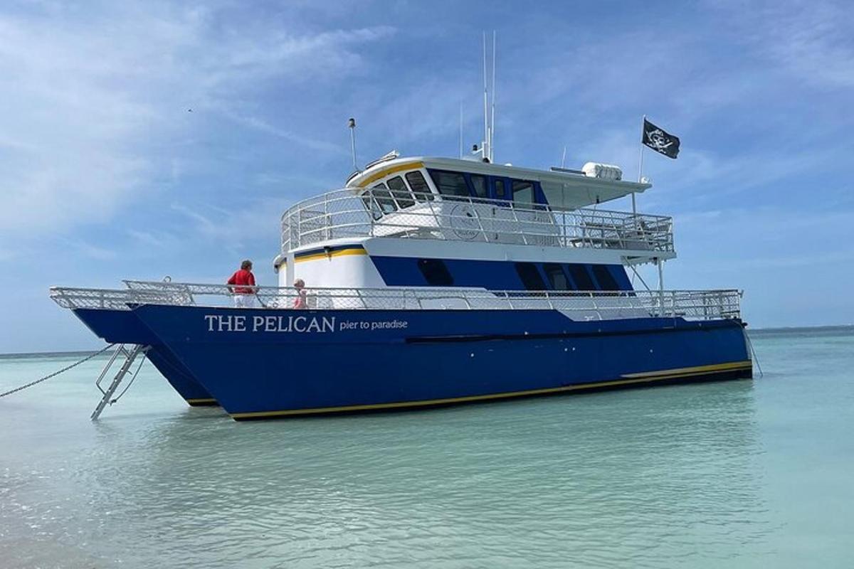ein großes blau-weißes Boot im Wasser