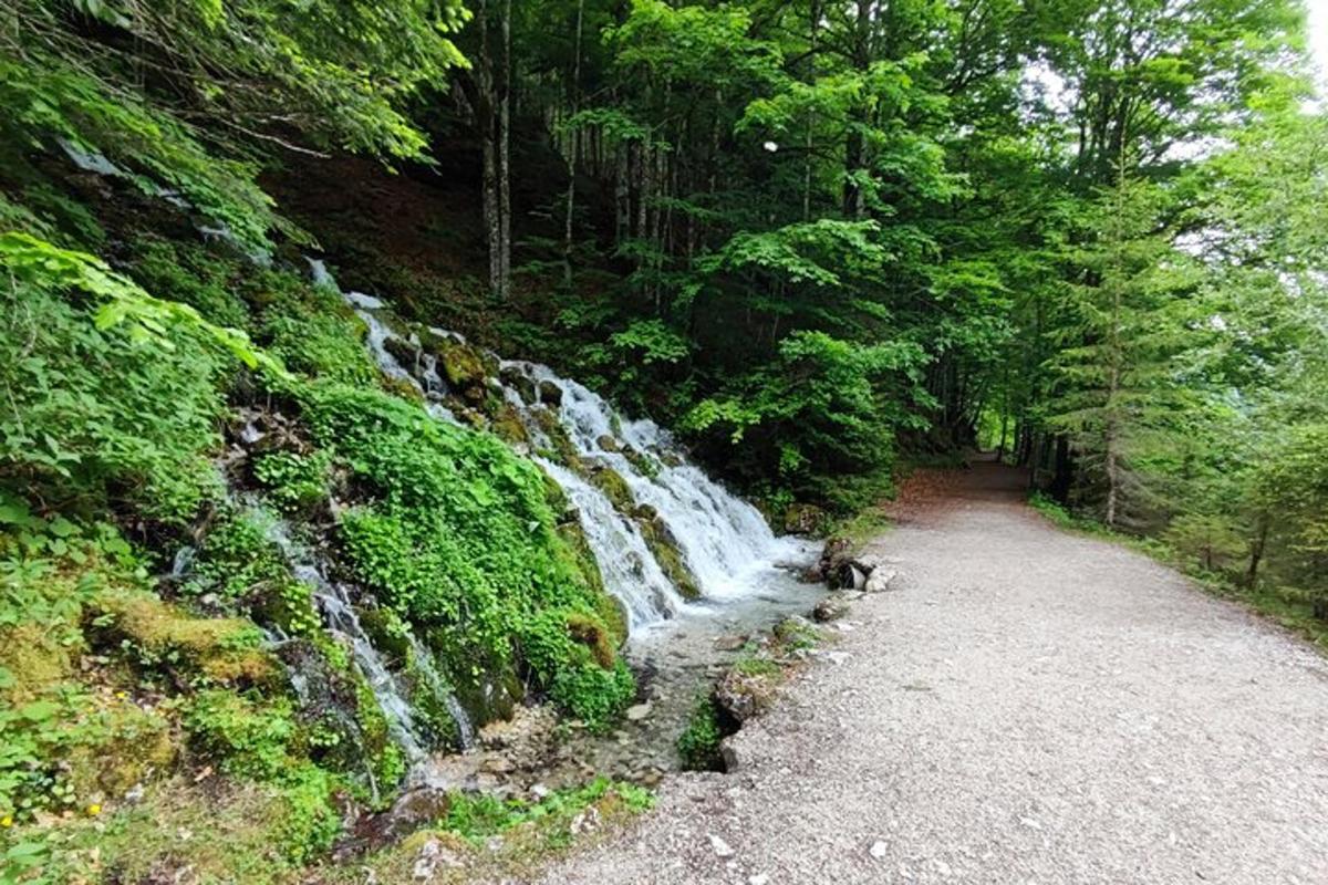 una cascada al costat d'un camí de terra