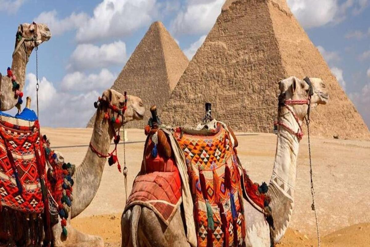 Dva velbloudi stojí před pyramidami