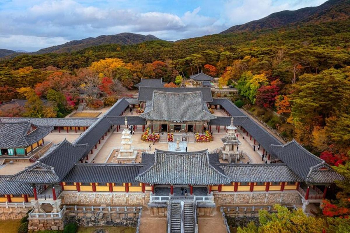 una vista dall'alto di un edificio asiatico con alberi