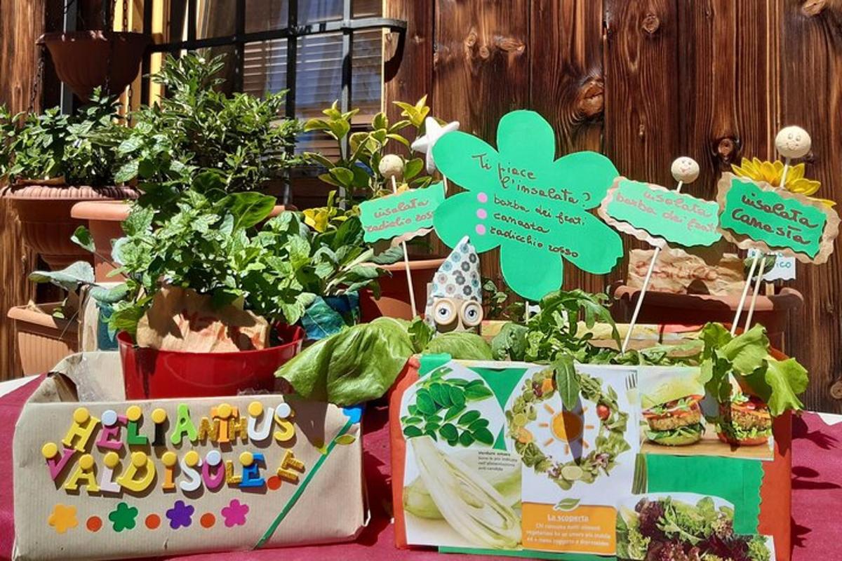 a table with some plants and signs on it