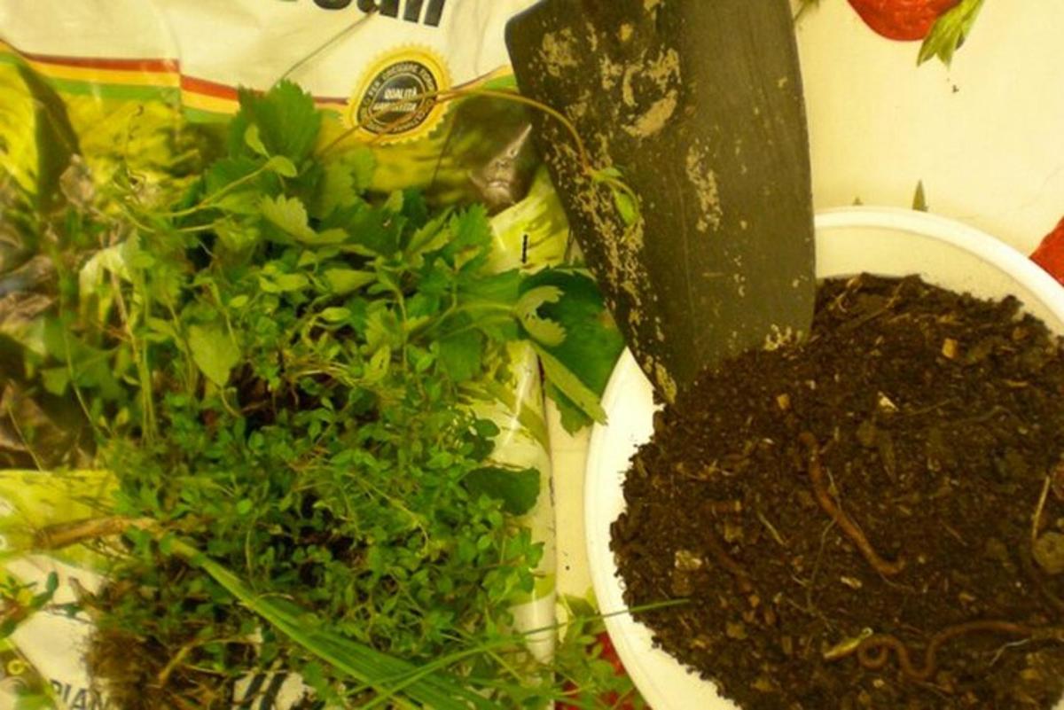 a table with a bowl of dirt and some plants