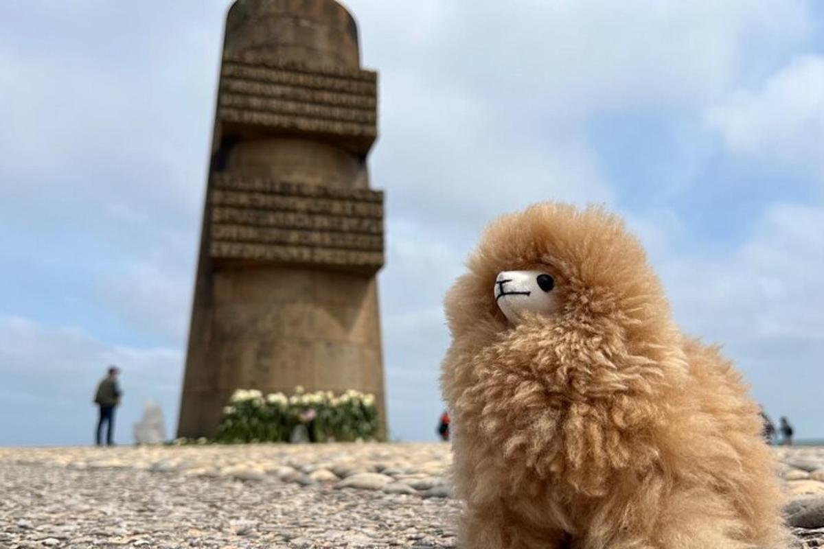 Fotografia da atração 7