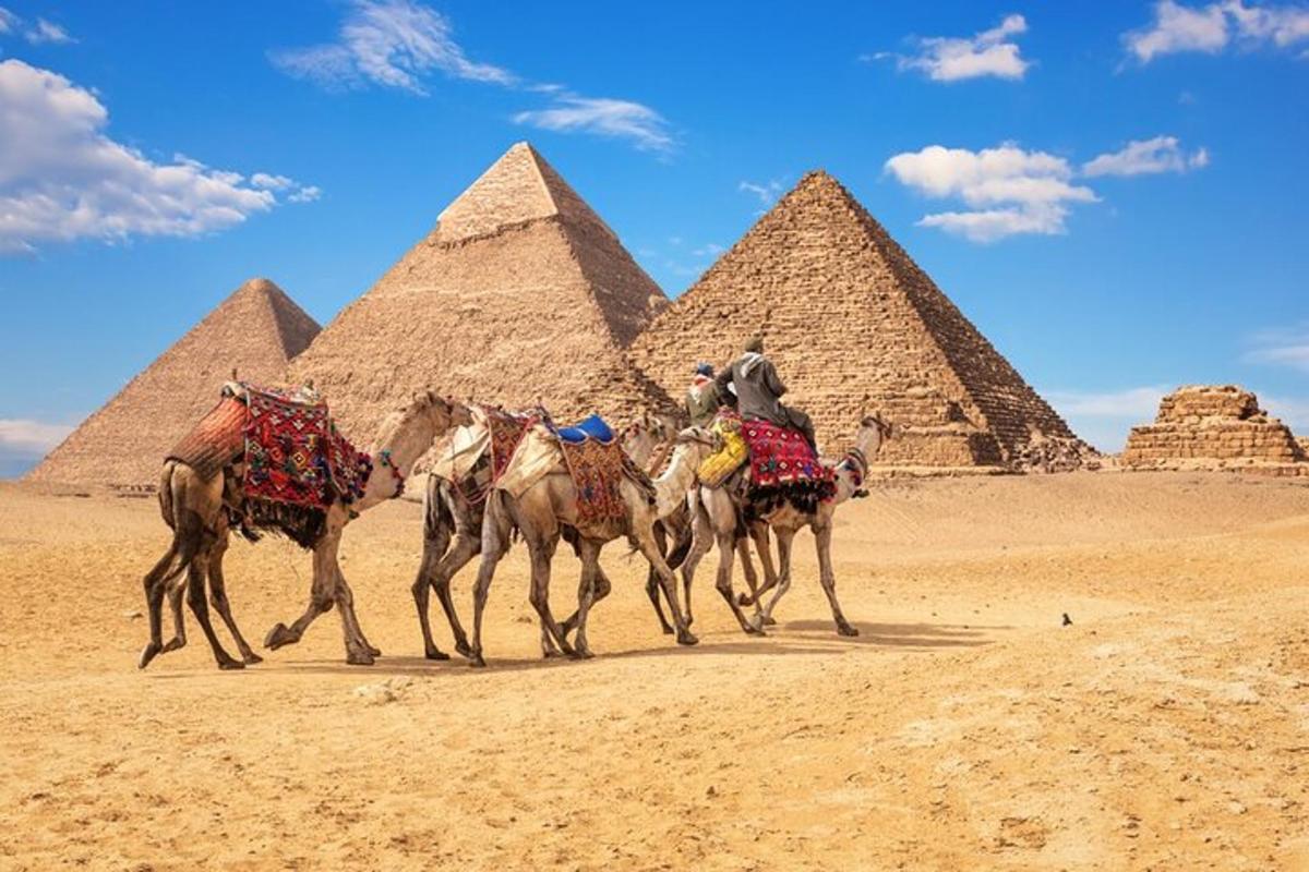 um grupo de camelos caminhando em frente às pirâmides