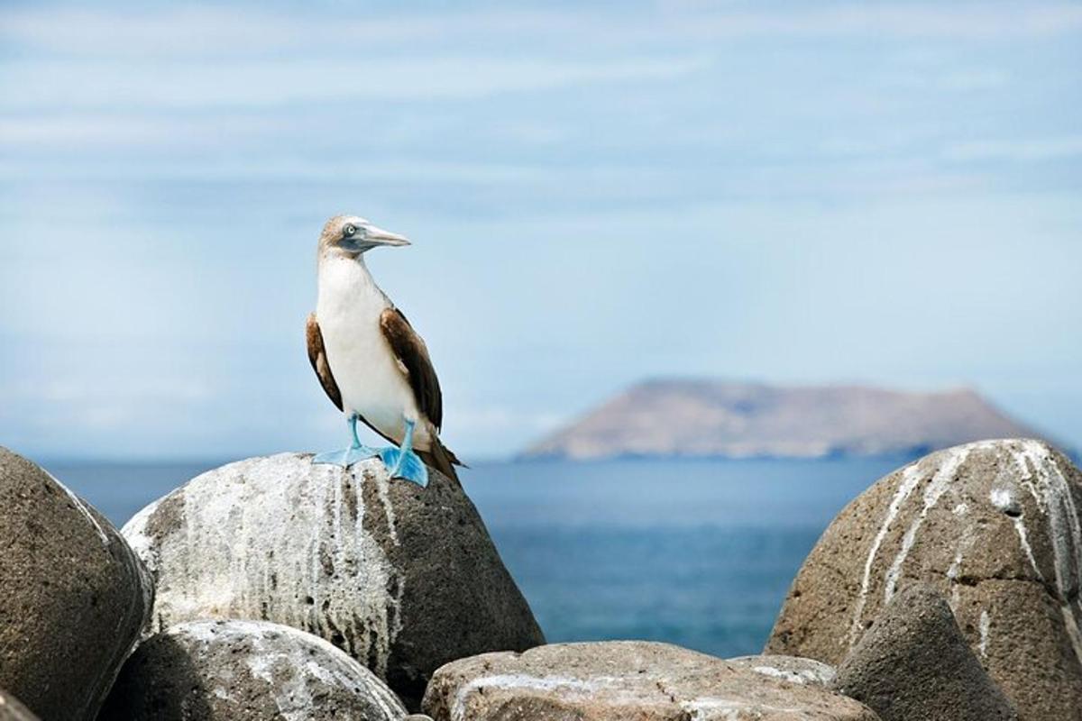 Fotografia da atração 5