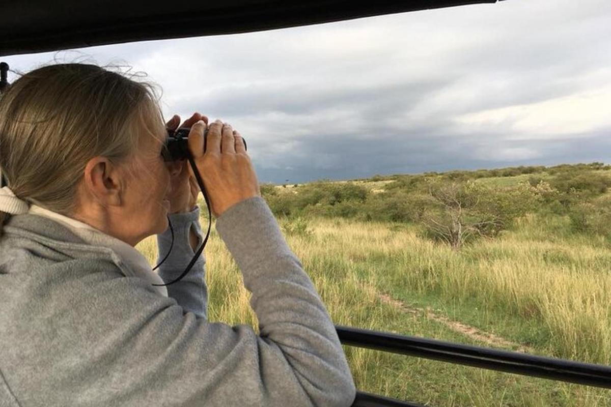 una donna che scatta una foto di un campo da un veicolo