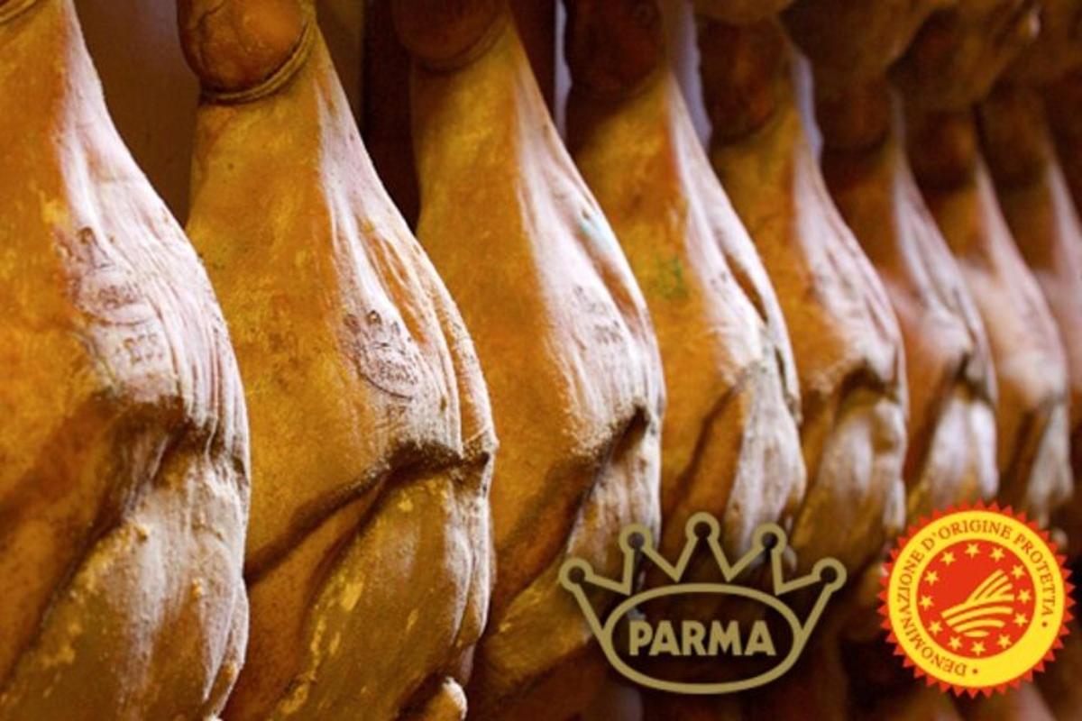 близък план на куп гевреци с лого на Панма