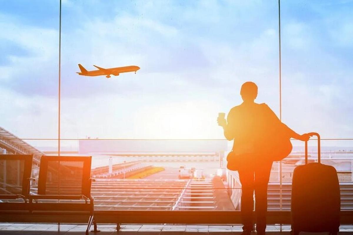 a person with a suitcase looking out the window at an airport
