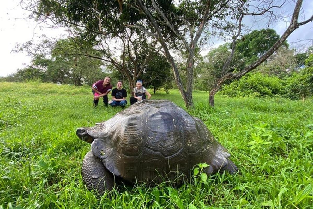 Tres personas sentadas encima de una tortuga en un campo