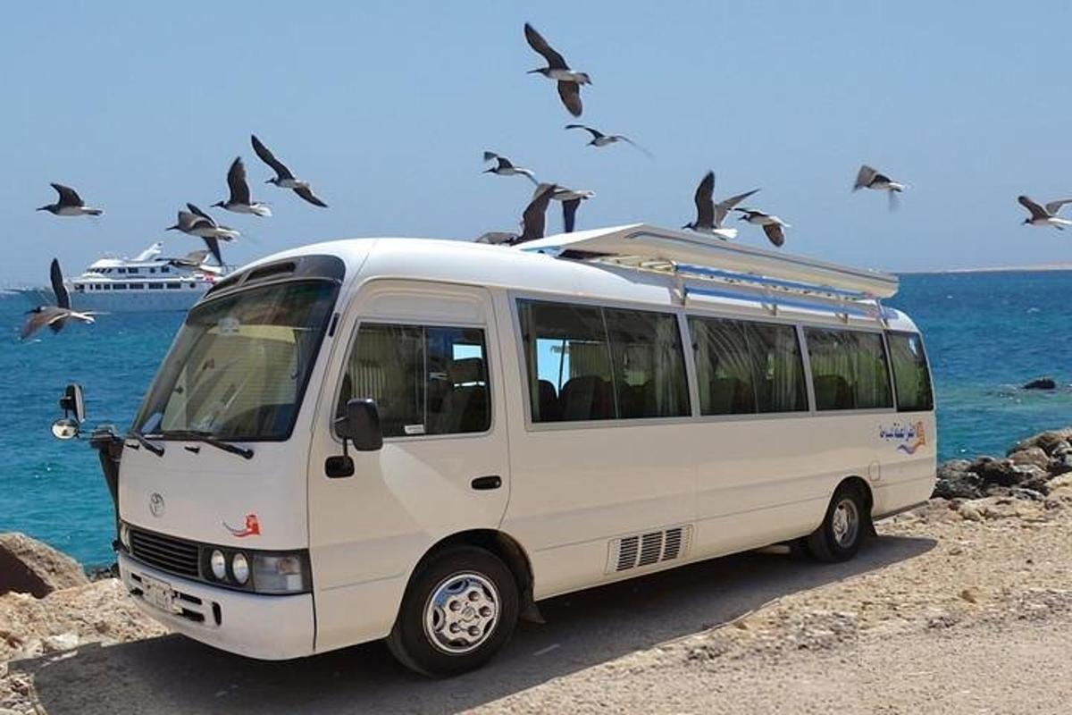 un furgone bianco parcheggiato sulla spiaggia con degli uccelli sopra