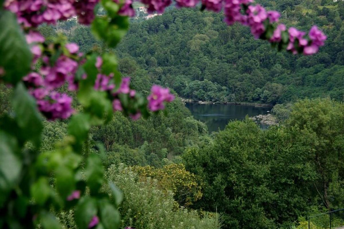 pogled na jezero z drevesi in vijoličnimi rožami