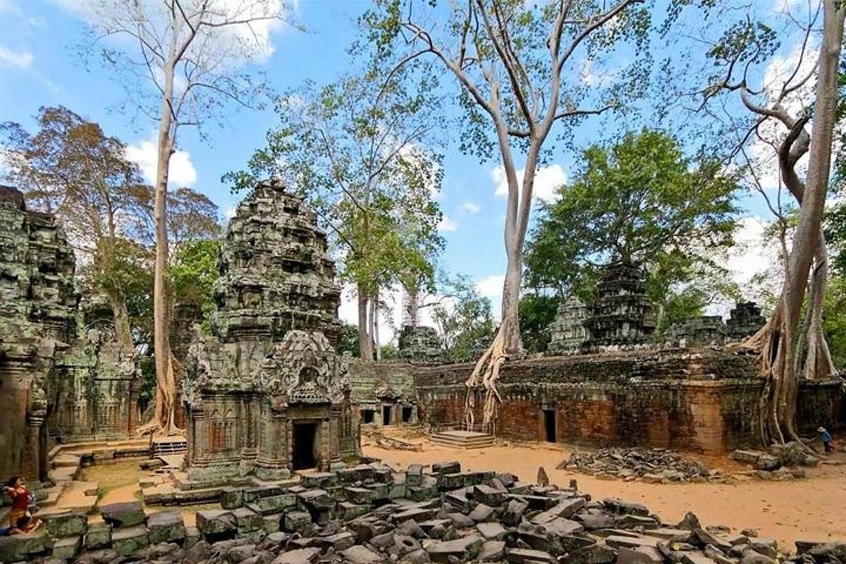 rühm templeid, mille taustal on puud