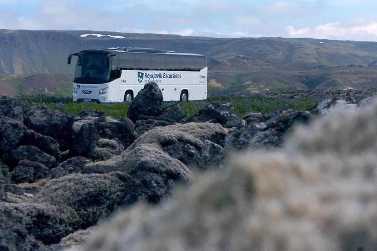 Lankytinos vietos ar pramogos nuotrauka numeris 4