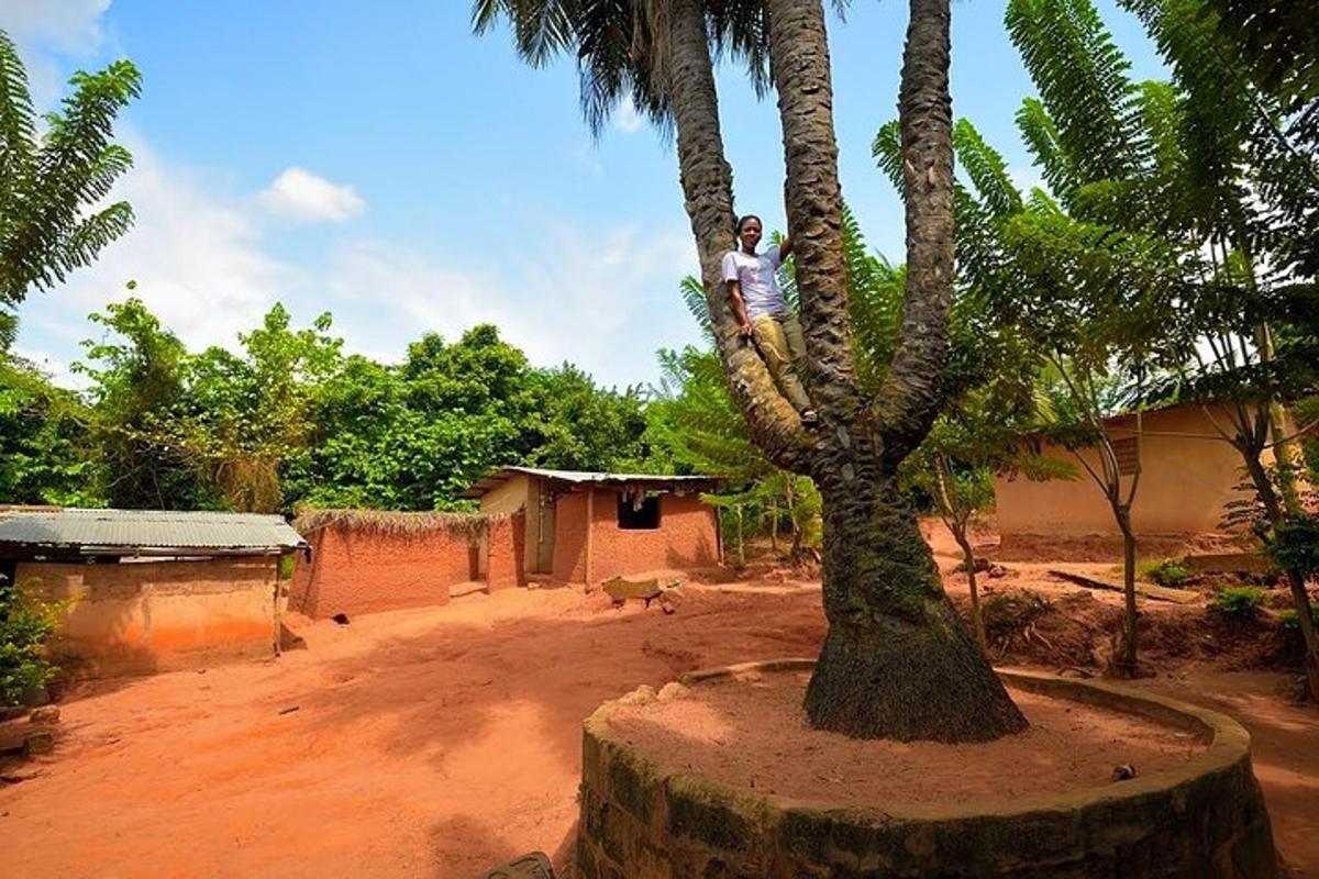 a man sitting on top of a palm tree