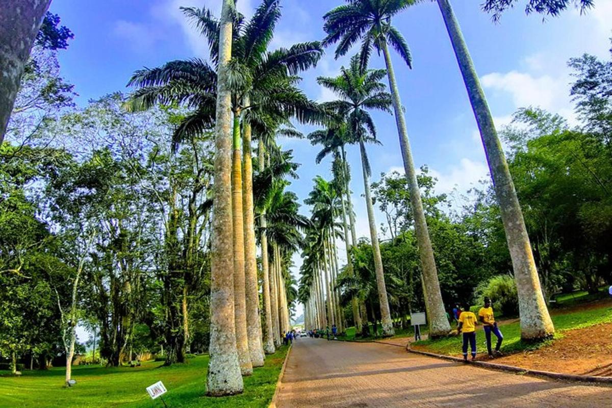two people walking down a street with palm trees