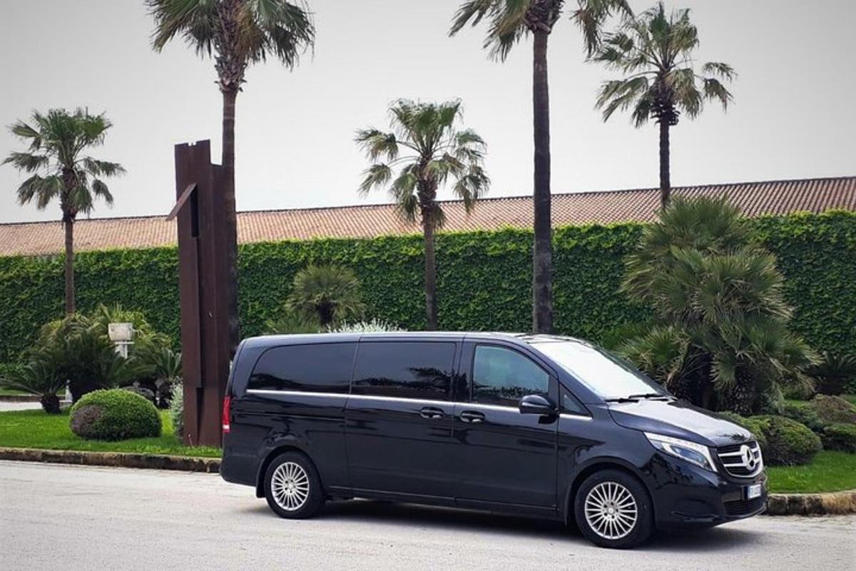 sebuah van hitam diletakkan di tempat letak kereta dengan pokok palma