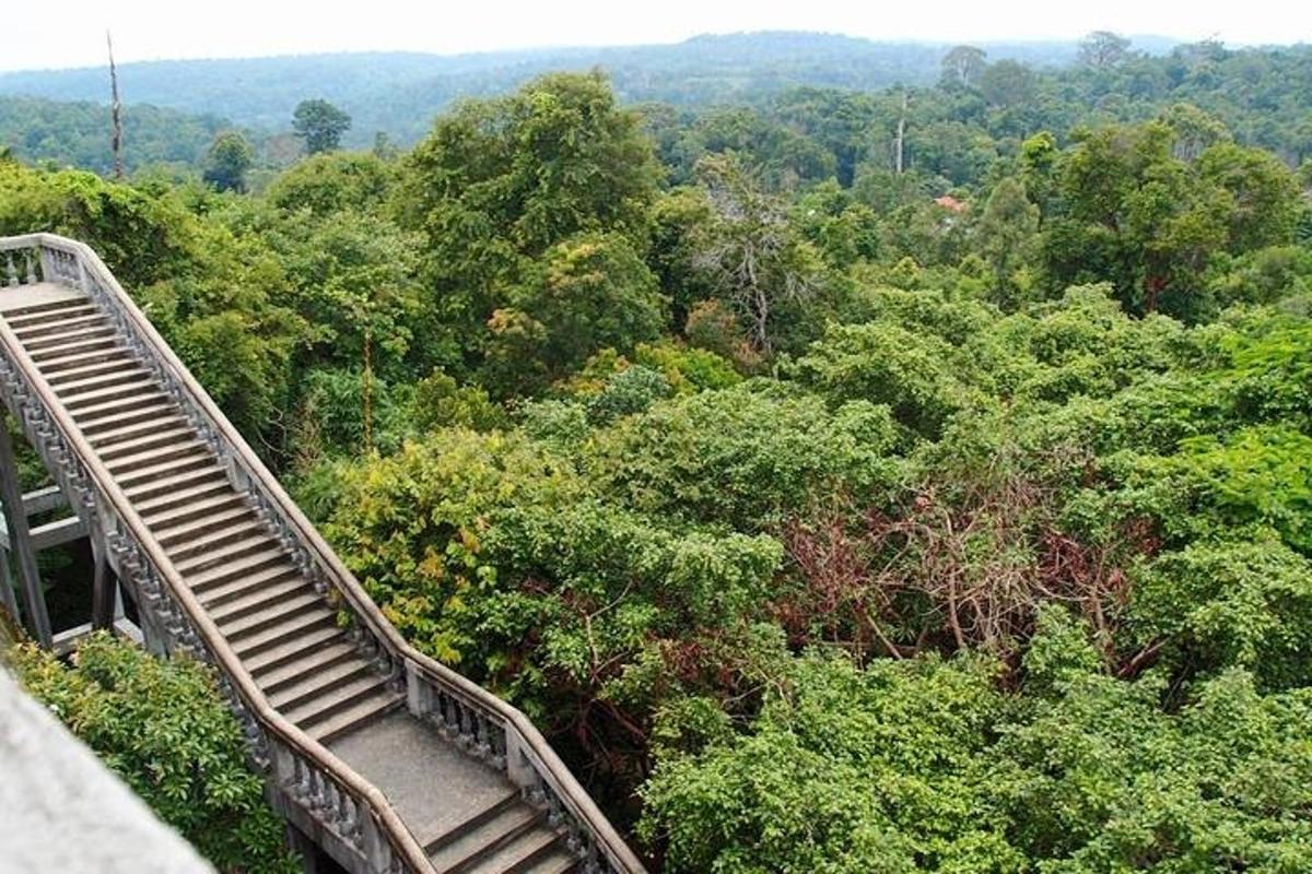 jembatan kayu di tengah hutan