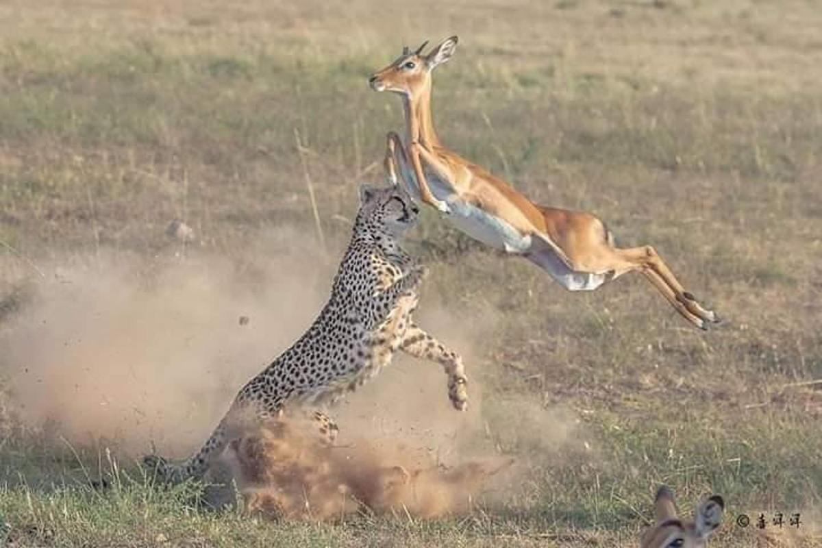 Foto 5 da atração