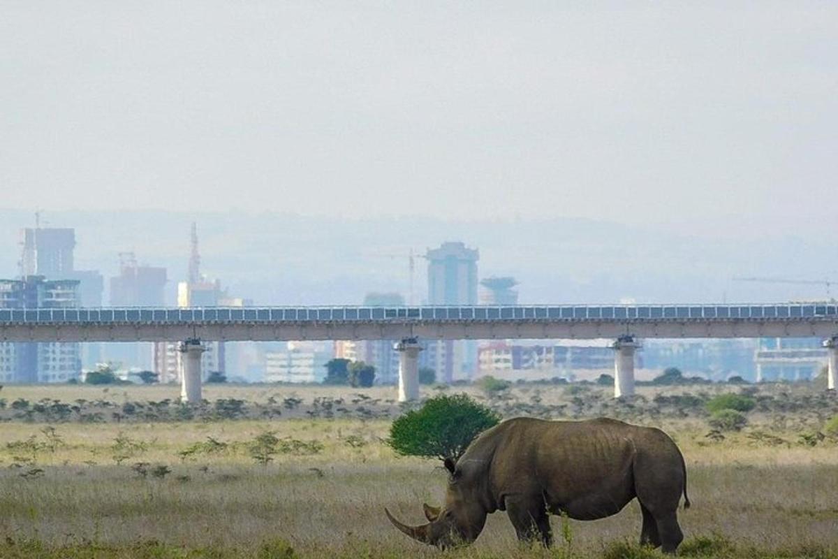 Un rinoceronte pastando en un campo con un puente al fondo