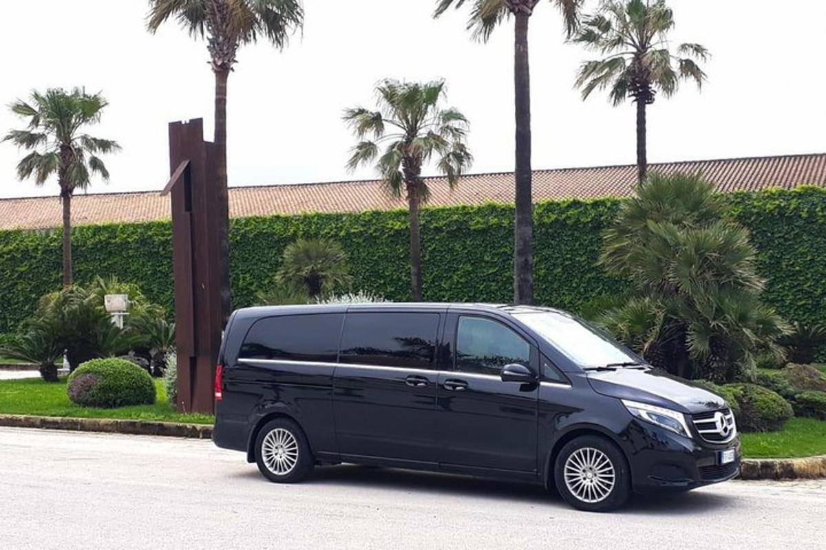 a black van parked in a parking lot with palm trees