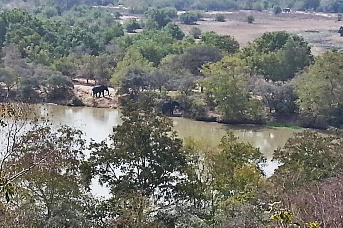 a horse standing in the middle of a body of water