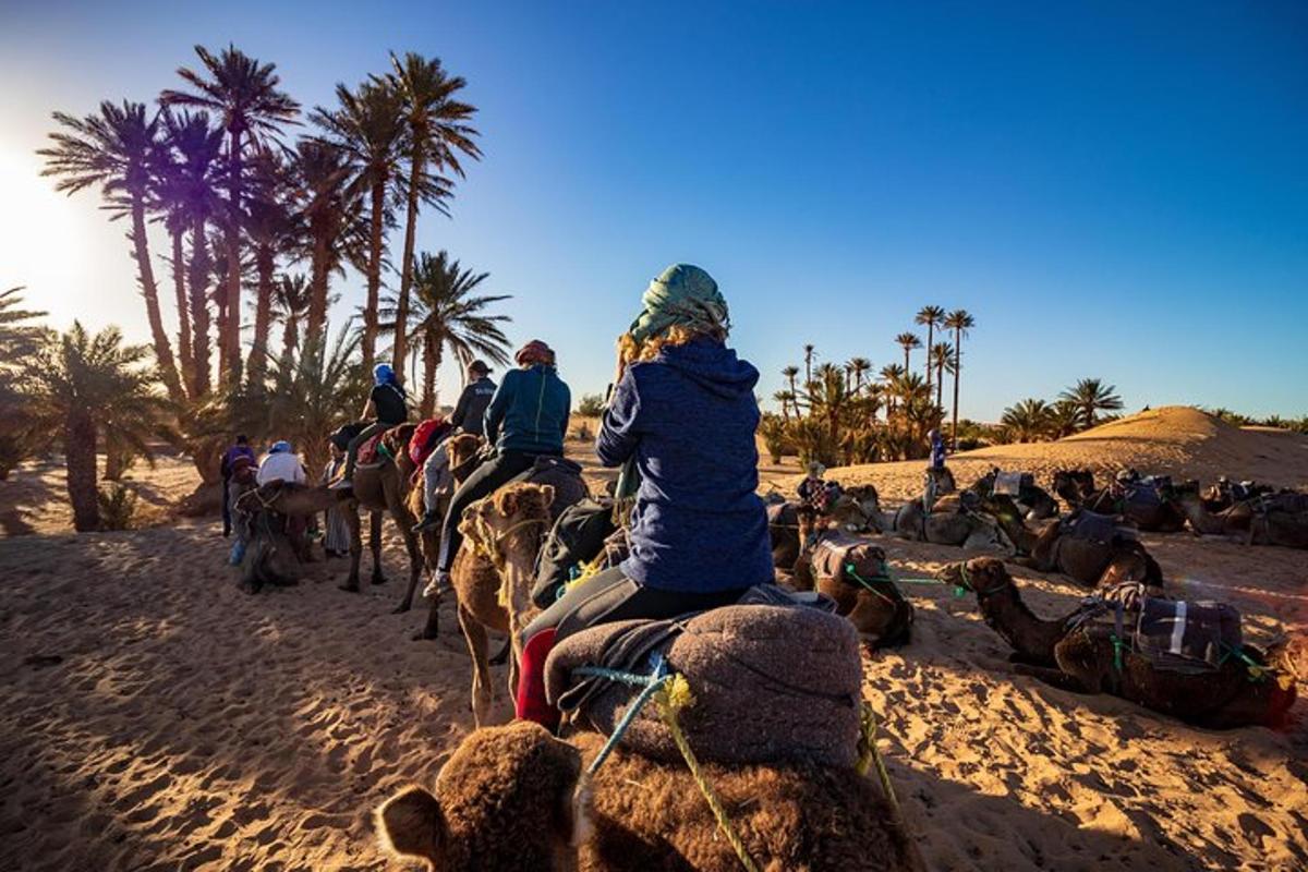 en gruppe mennesker, der rider på heste på stranden