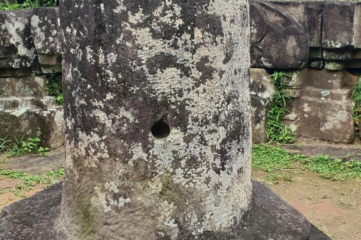 un tronc d'arbre amb un forat