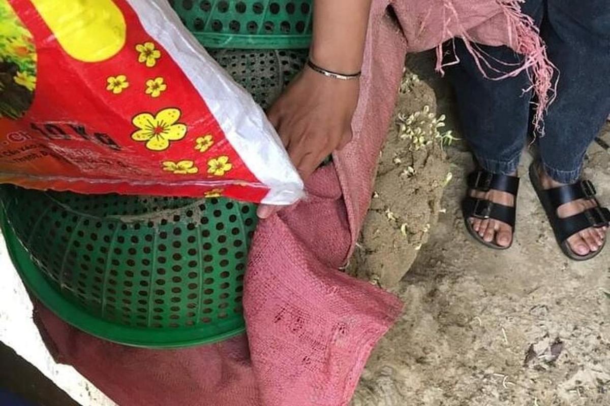 seseorang yang memakai sandal duduk di sebelah bakul hijau