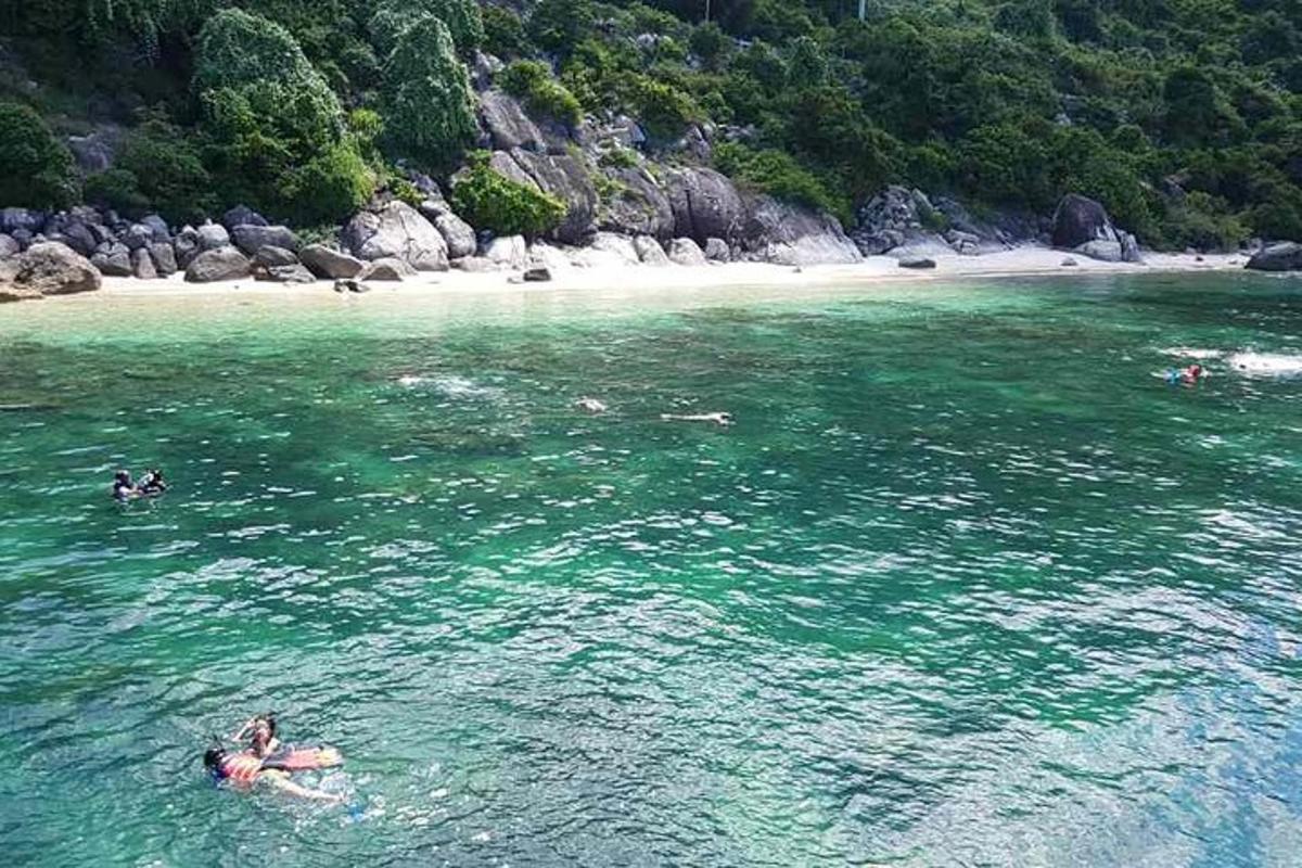 skupina ljudi, ki plavajo v vodi blizu plaže
