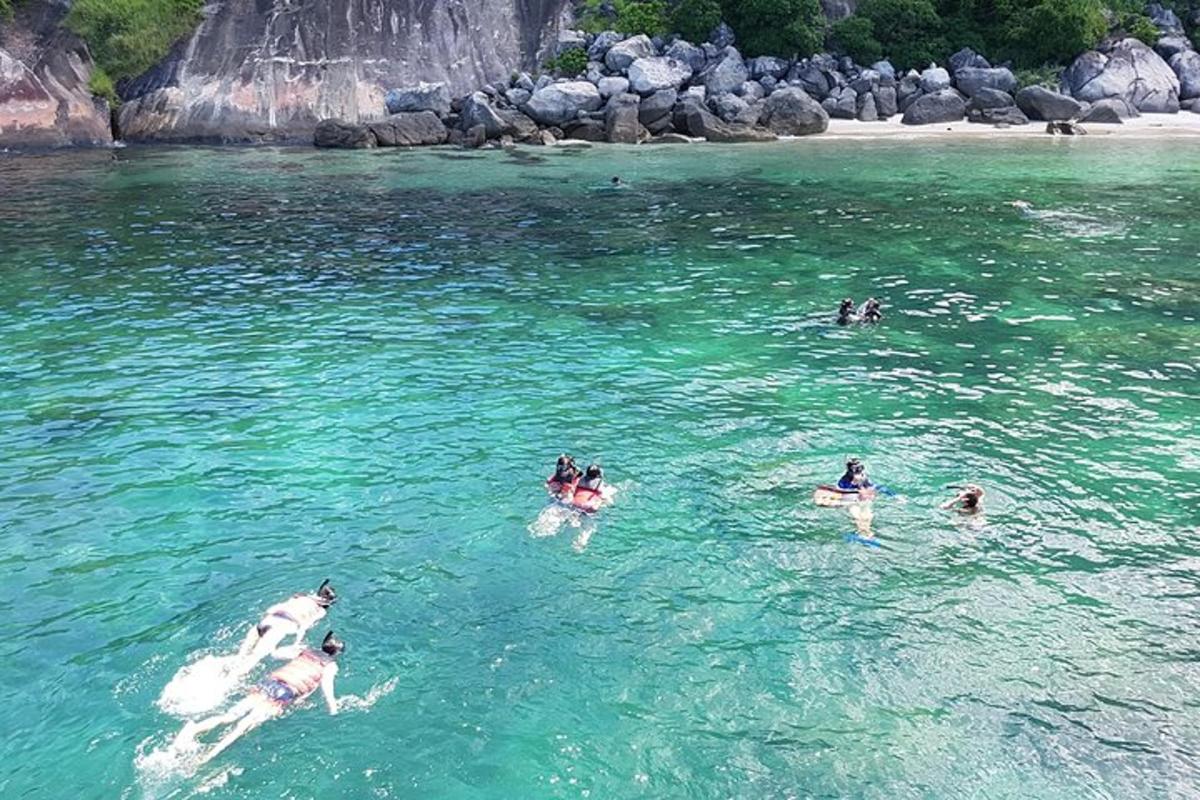 un gruppo di persone che nuotano in uno specchio d'acqua