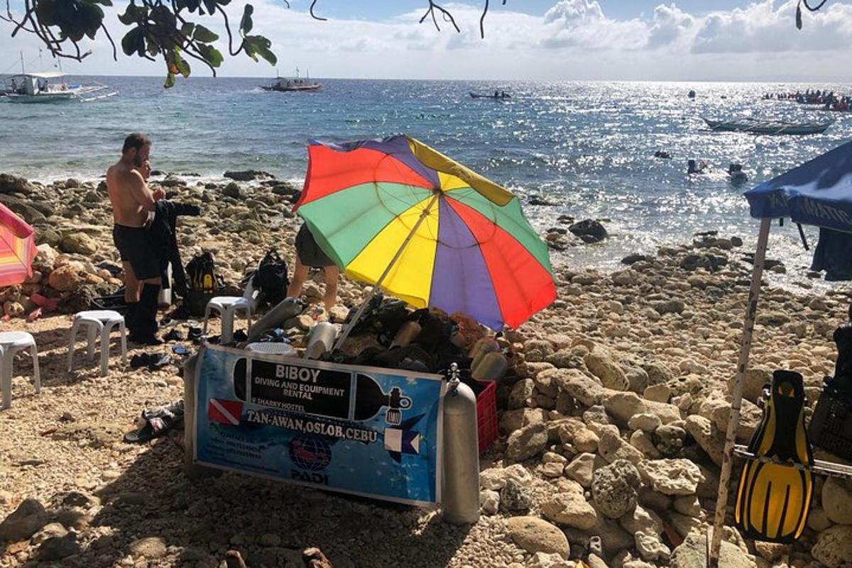 en fargerik paraply som sitter på en strand nær vannet
