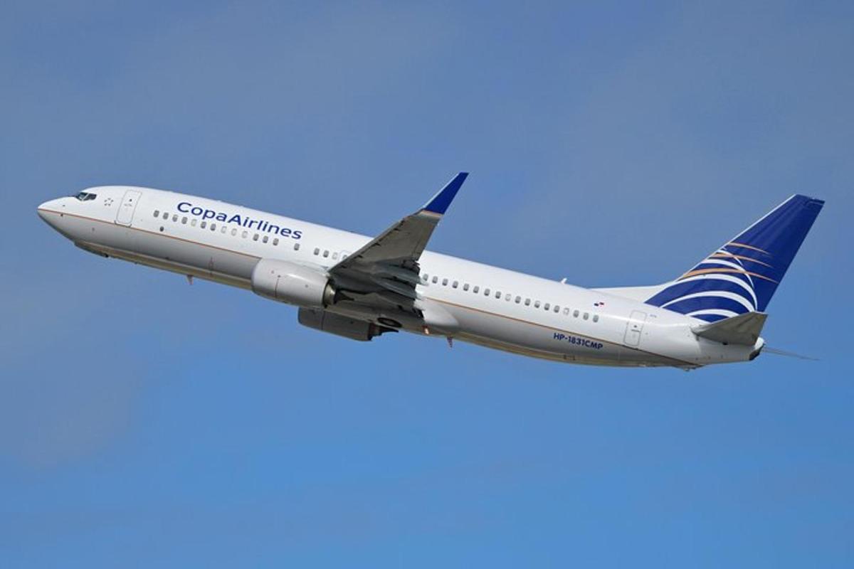飛行機が空を飛んでいる