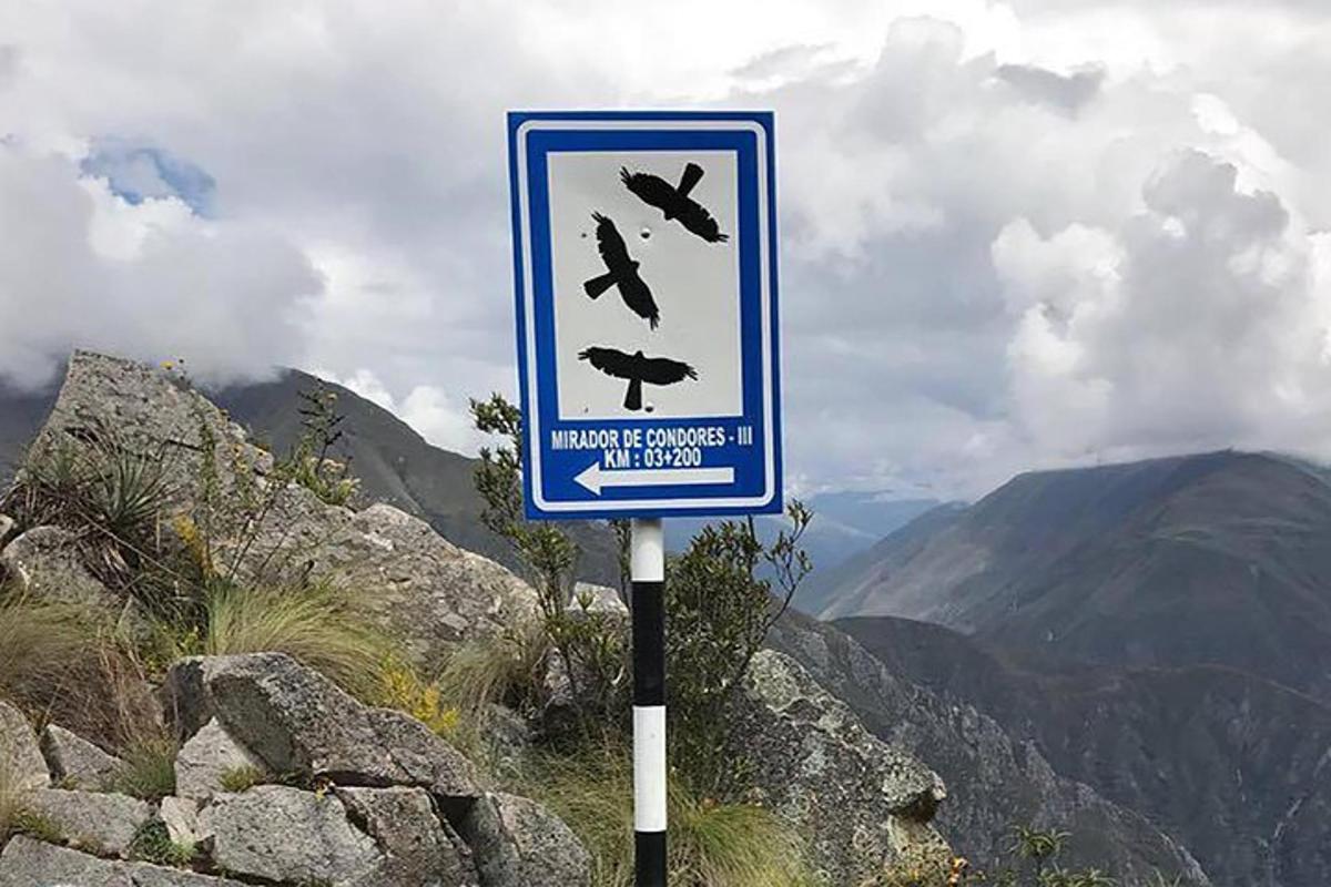 a sign on the side of a mountain with birds flying