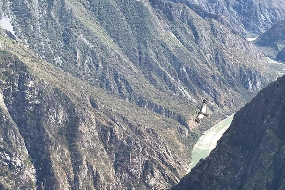 an aerial view of a mountain with a river