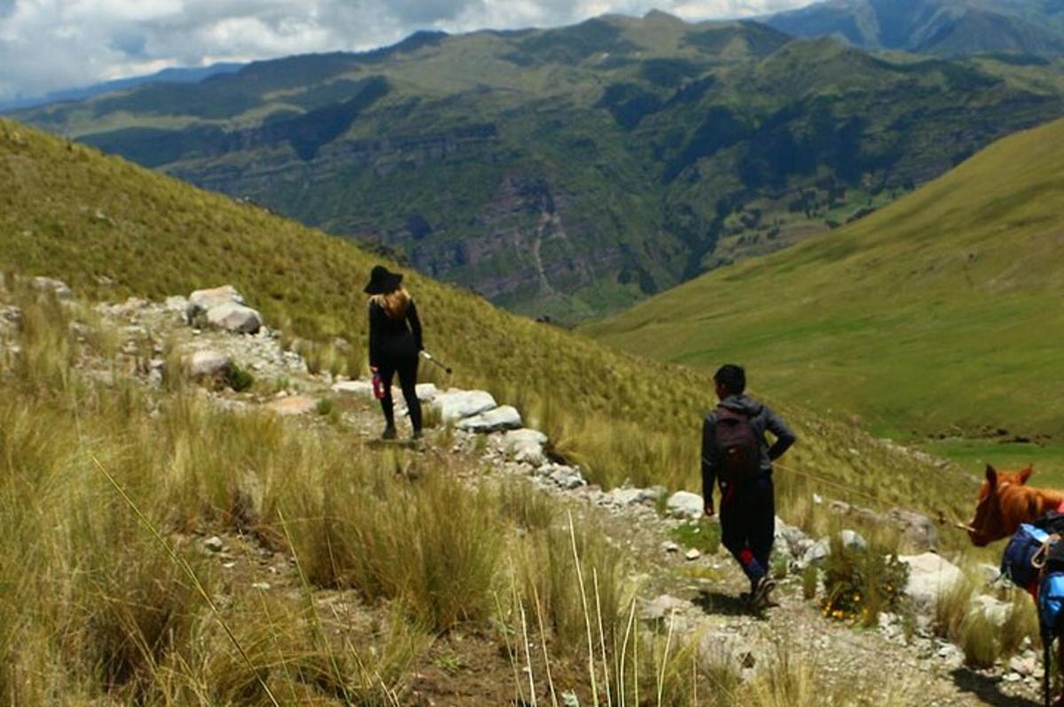 due persone che scendono da una collina con un gregge di pecore