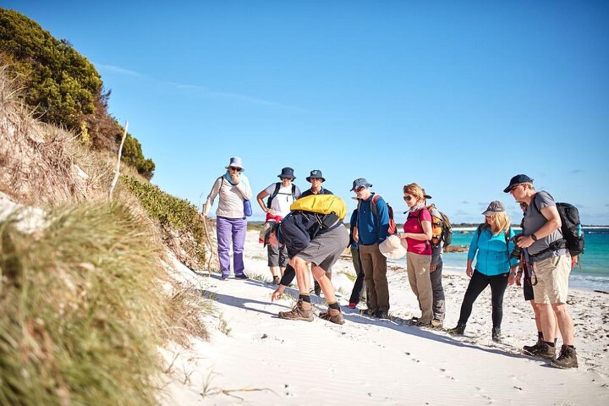 a group of people walking on the beach