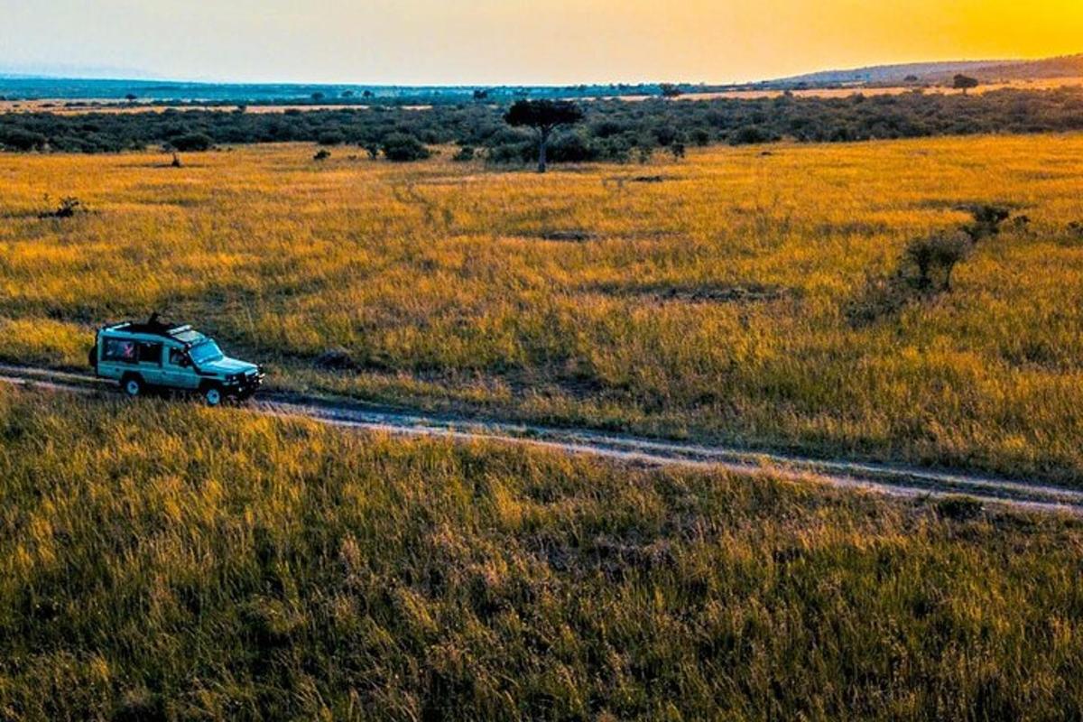 un camion che percorre una strada in un campo
