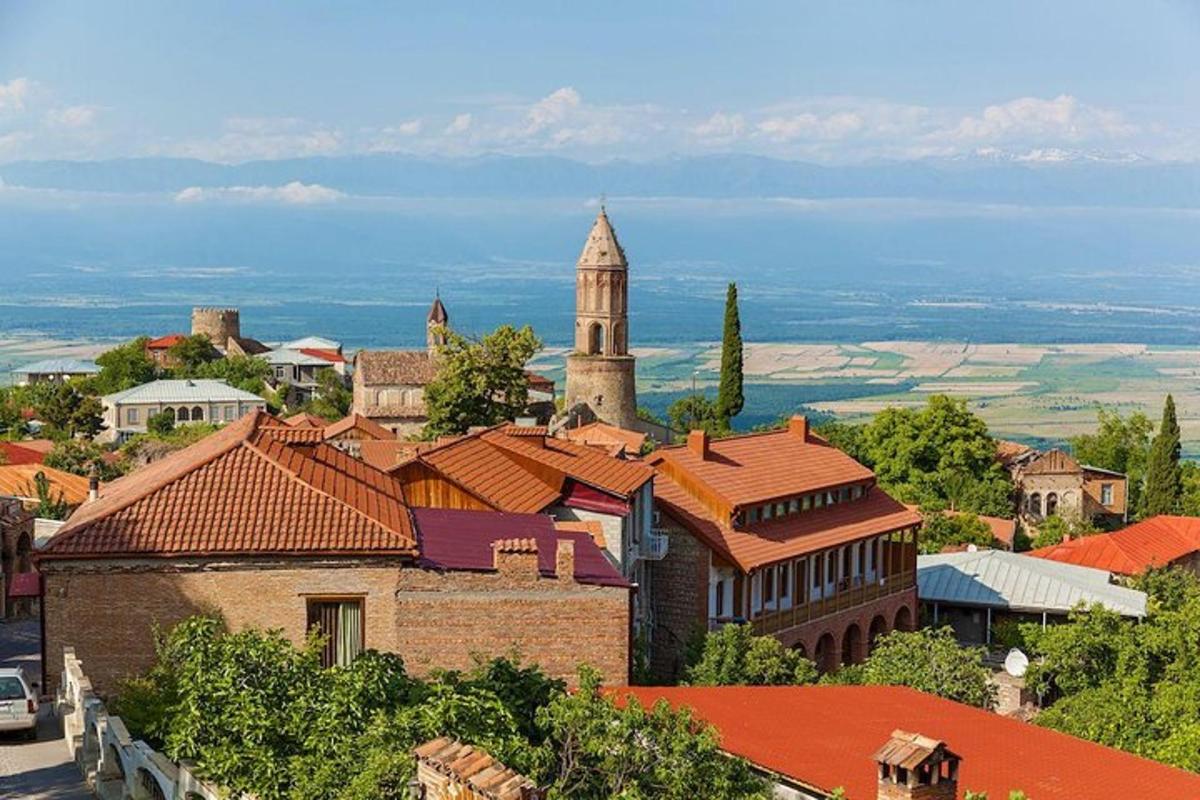μια θέα μιας πόλης με έναν πύργο ρολογιού και στέγες