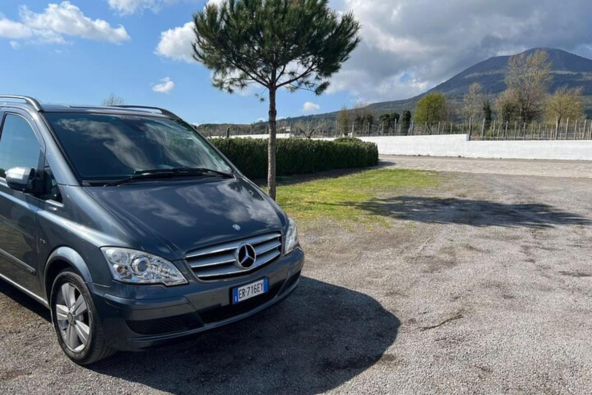 auto zaparkované na parkovišti vedle stromu